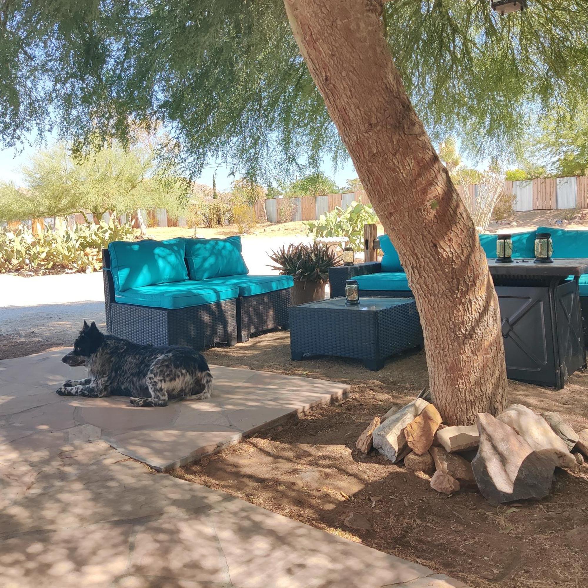 Joshua Tree Ranch House Motel - Downtown - Room #8 Exterior foto
